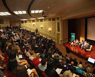 fvis conference
